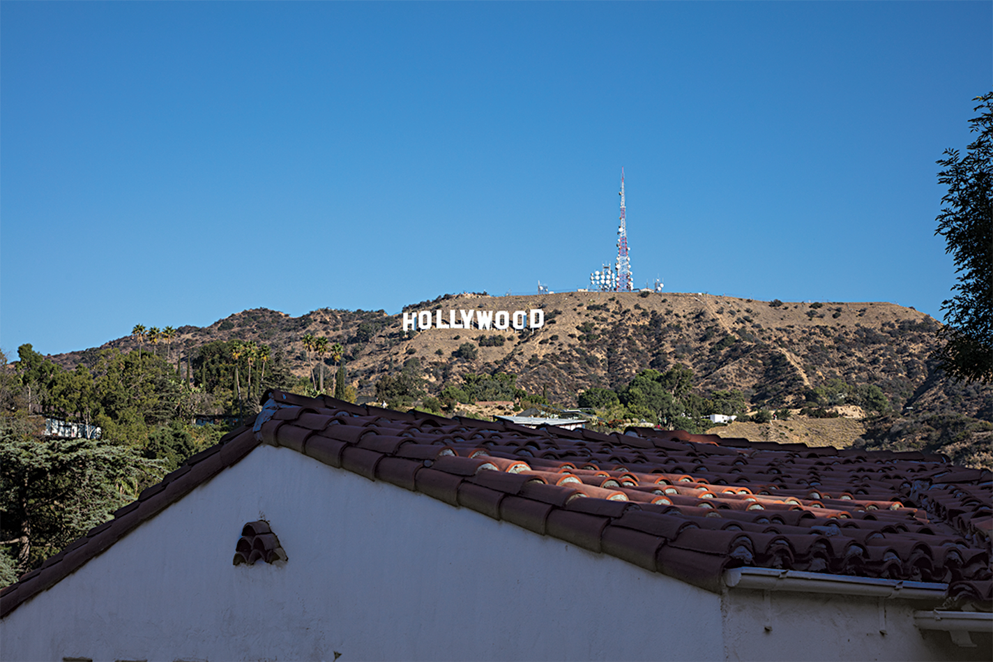 Hollywood Hills