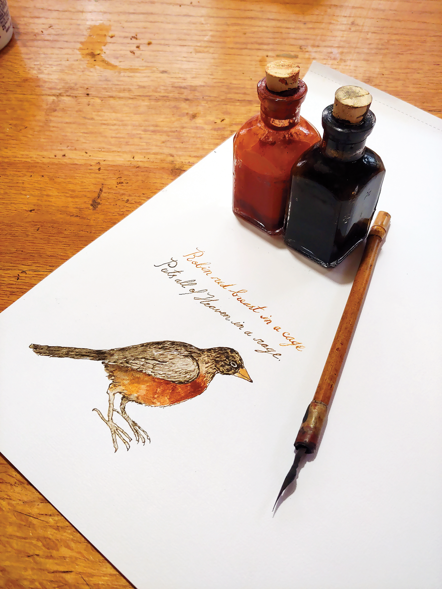 Drawing of a bird with a William Blake quote, made by Little in red and black iron oxide.