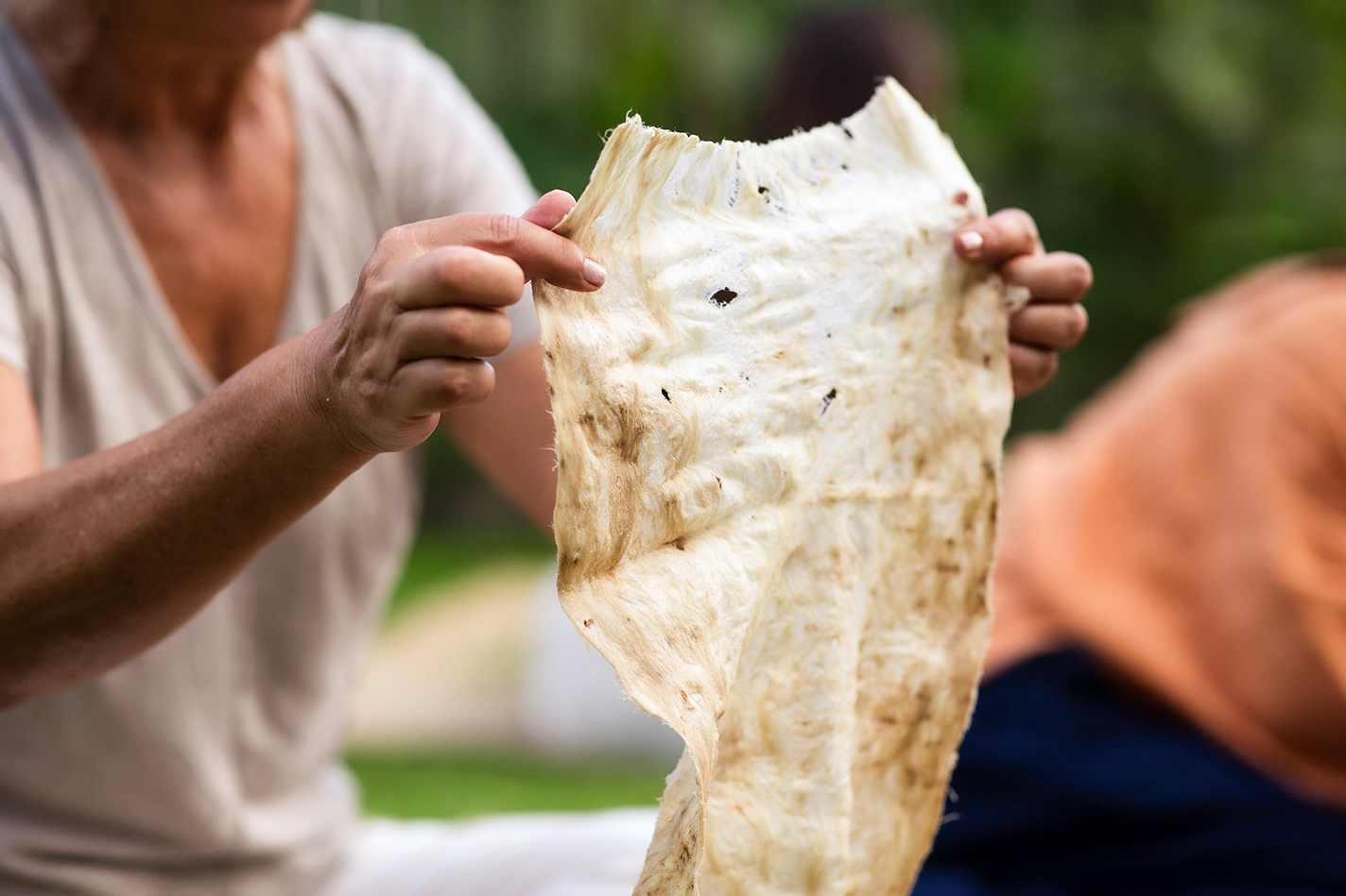 Freshly pounded bark ready for fermentation