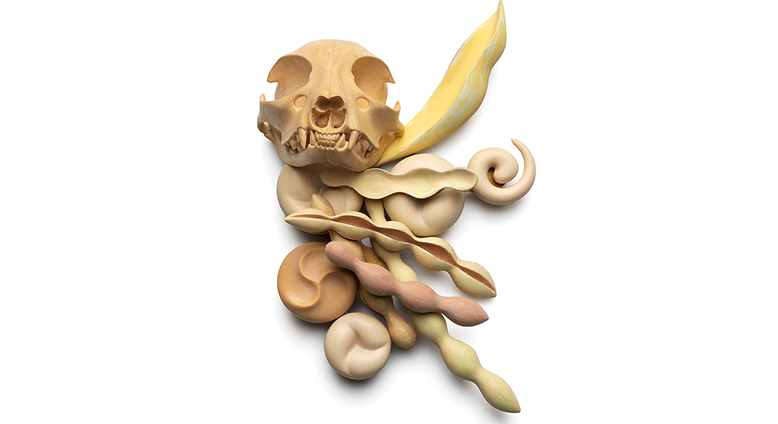 Brooch with rodent skull and beanpods made from maple, holly, Micarta, and gold-plated brass.